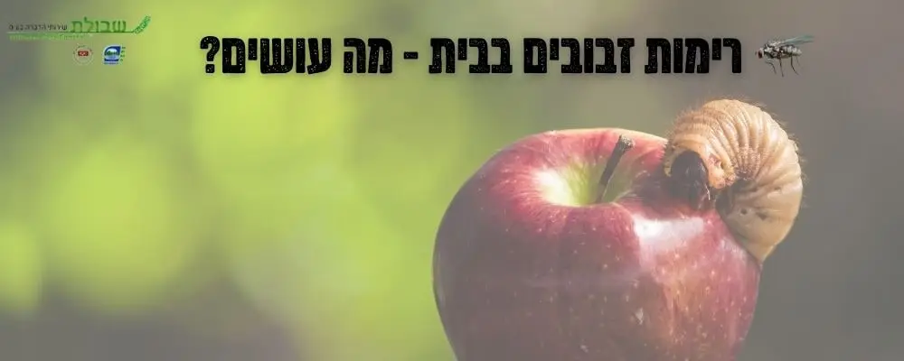 שיבולת שירותי הדברה