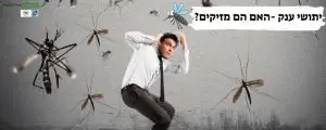 יתוש ענק