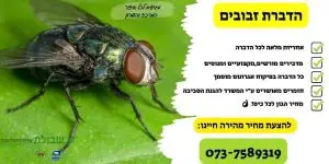 הדברת זבובים