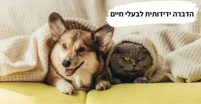 הדברה ידיתותית לבעלי חיים