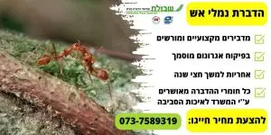 הדברת נמלי אש