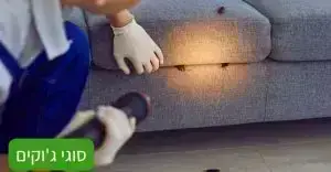 סוגי ג'וקים